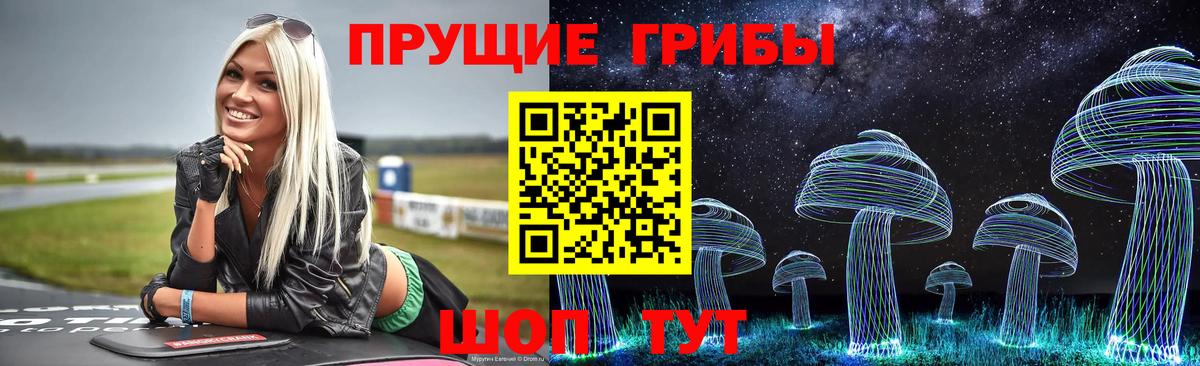 Галлюциногенные грибы Cubensis Лянтор